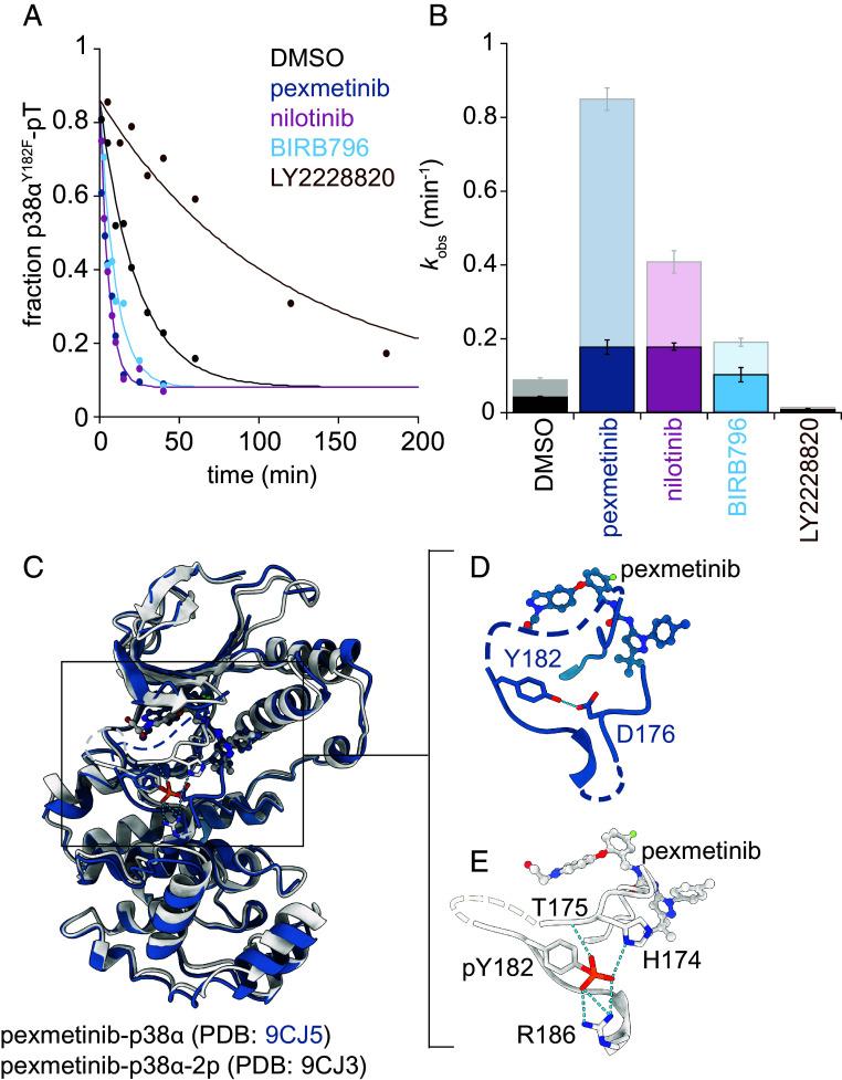 https://cdn.ncbi.nlm.nih.gov/pmc/blobs/3fd6/11725910/03edce34bda1/pnas.2415150122fig04.jpg