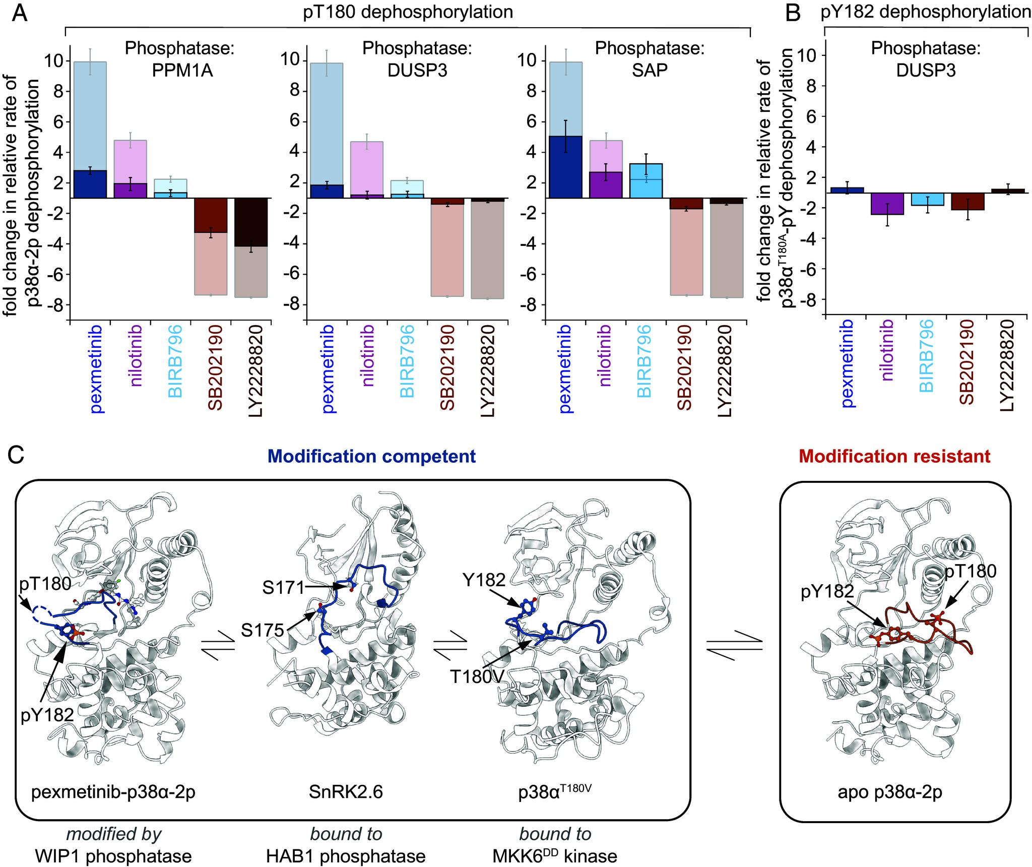 https://cdn.ncbi.nlm.nih.gov/pmc/blobs/3fd6/11725910/ad4cb5853d2c/pnas.2415150122fig05.jpg