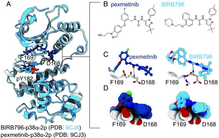 https://cdn.ncbi.nlm.nih.gov/pmc/blobs/3fd6/11725910/e188afab8c5b/pnas.2415150122fig03.jpg