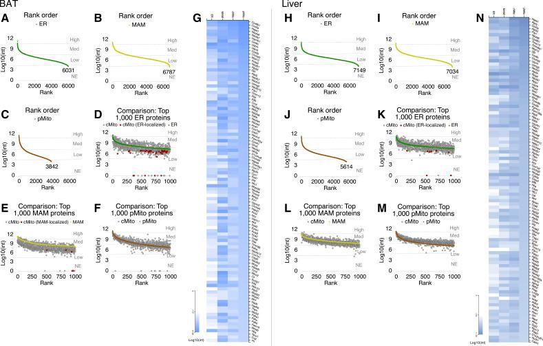 https://cdn.ncbi.nlm.nih.gov/pmc/blobs/3fde/11157264/4ad0e871a2a5/LSA-2024-02828_FigS1.jpg