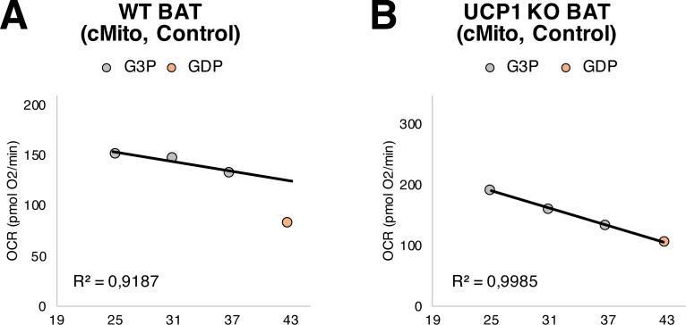 https://cdn.ncbi.nlm.nih.gov/pmc/blobs/3fde/11157264/7e26c49f96c5/LSA-2024-02828_FigS6.jpg