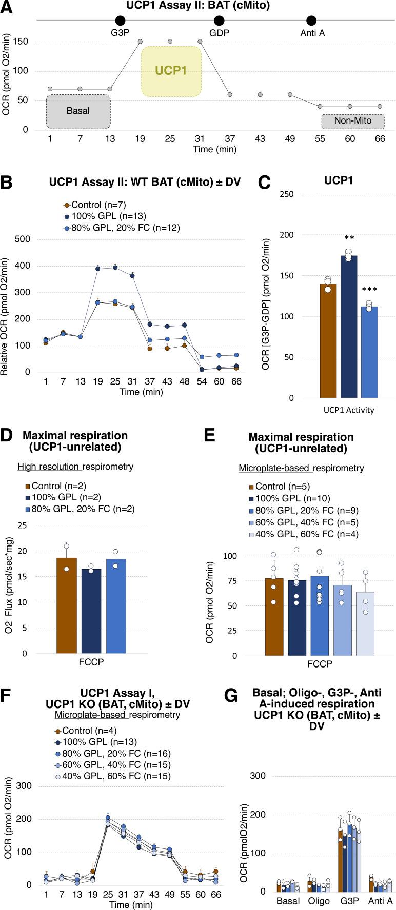 https://cdn.ncbi.nlm.nih.gov/pmc/blobs/3fde/11157264/b5e13fb73817/LSA-2024-02828_FigS7.jpg