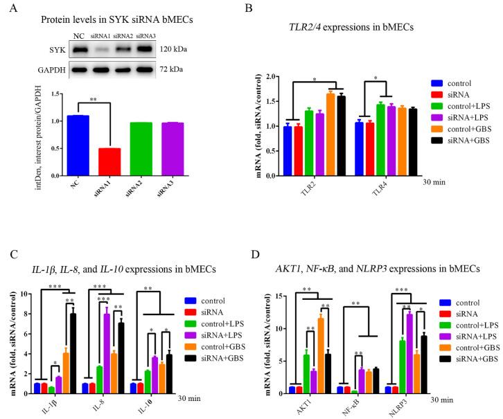 https://cdn.ncbi.nlm.nih.gov/pmc/blobs/3fe2/9855420/38bde05dfada/biomedicines-11-00097-g006.jpg