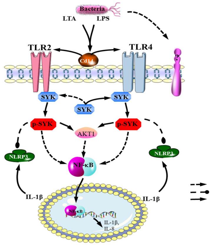 https://cdn.ncbi.nlm.nih.gov/pmc/blobs/3fe2/9855420/95496ea84c78/biomedicines-11-00097-g008.jpg