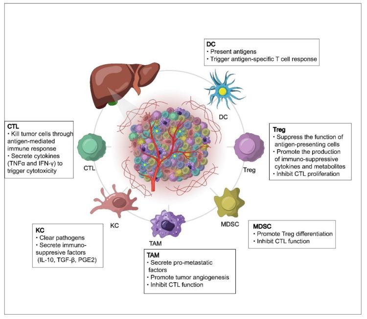 https://cdn.ncbi.nlm.nih.gov/pmc/blobs/3fea/9599666/f371081dae9f/cancers-14-05013-g001.jpg