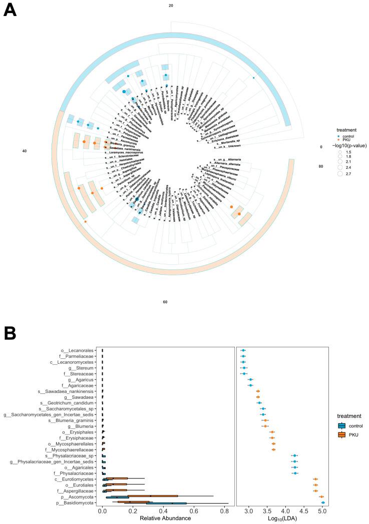 https://cdn.ncbi.nlm.nih.gov/pmc/blobs/4020/12348489/cf46bbb97a15/nutrients-17-02405-g005.jpg