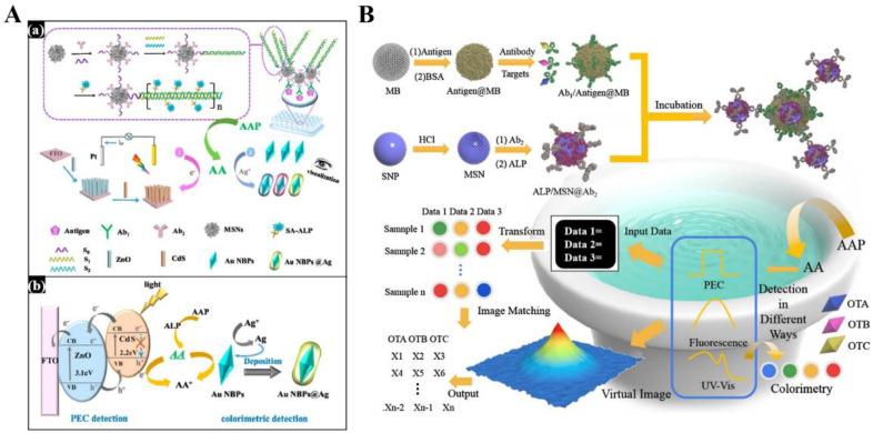 https://cdn.ncbi.nlm.nih.gov/pmc/blobs/402c/10526794/b07298eda690/biosensors-13-00855-g017.jpg