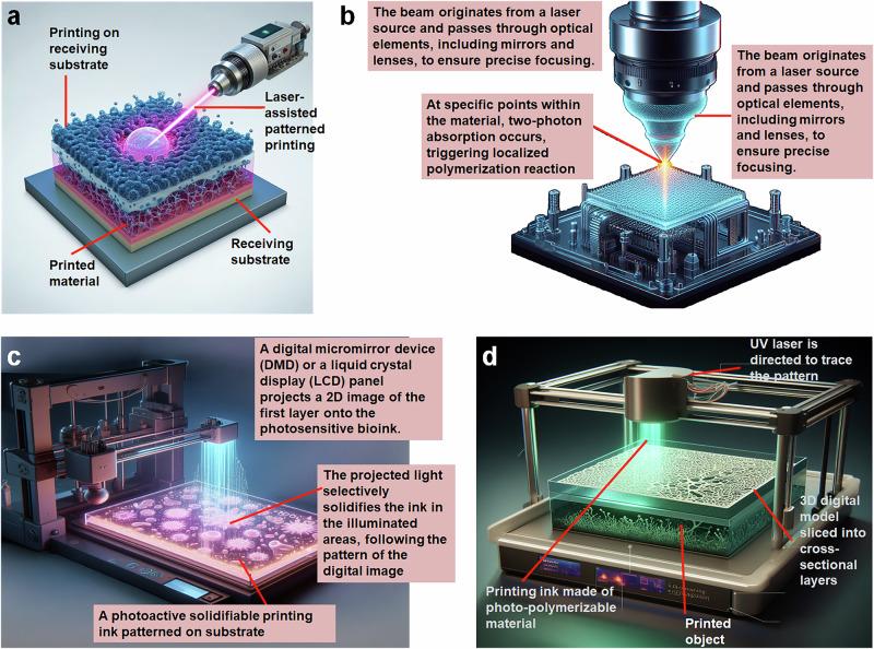 https://cdn.ncbi.nlm.nih.gov/pmc/blobs/404e/11982170/143bb64b0ff3/10856_2025_6877_Fig3_HTML.jpg
