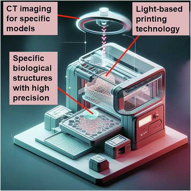https://cdn.ncbi.nlm.nih.gov/pmc/blobs/404e/11982170/bcea7454f5a1/10856_2025_6877_Fig4_HTML.jpg