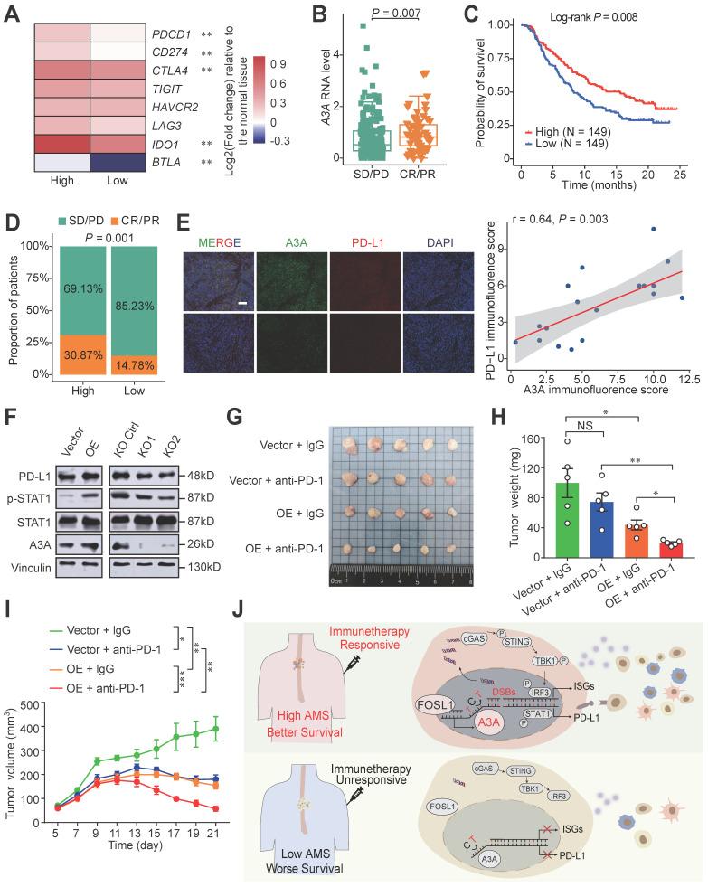 https://cdn.ncbi.nlm.nih.gov/pmc/blobs/406e/10197887/59e3f6da05f0/ijbsv19p2551g008.jpg