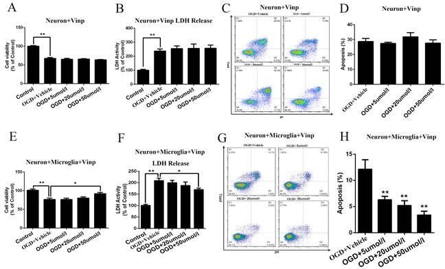 https://cdn.ncbi.nlm.nih.gov/pmc/blobs/4086/5655200/200d07b59f40/oncotarget-08-80315-g002.jpg