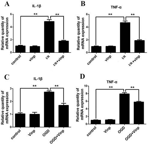 https://cdn.ncbi.nlm.nih.gov/pmc/blobs/4086/5655200/a02e139b0699/oncotarget-08-80315-g005.jpg