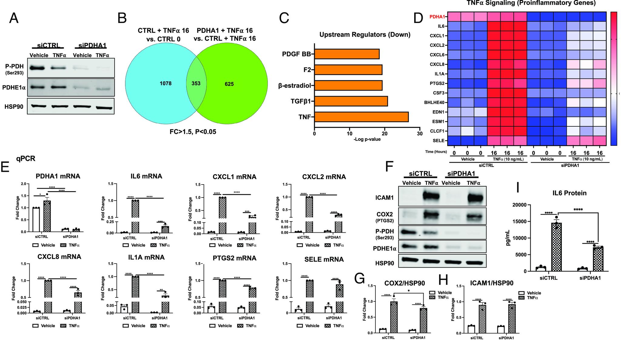 https://cdn.ncbi.nlm.nih.gov/pmc/blobs/408b/10515159/6a987cae0e6f/pnas.2218150120fig05.jpg