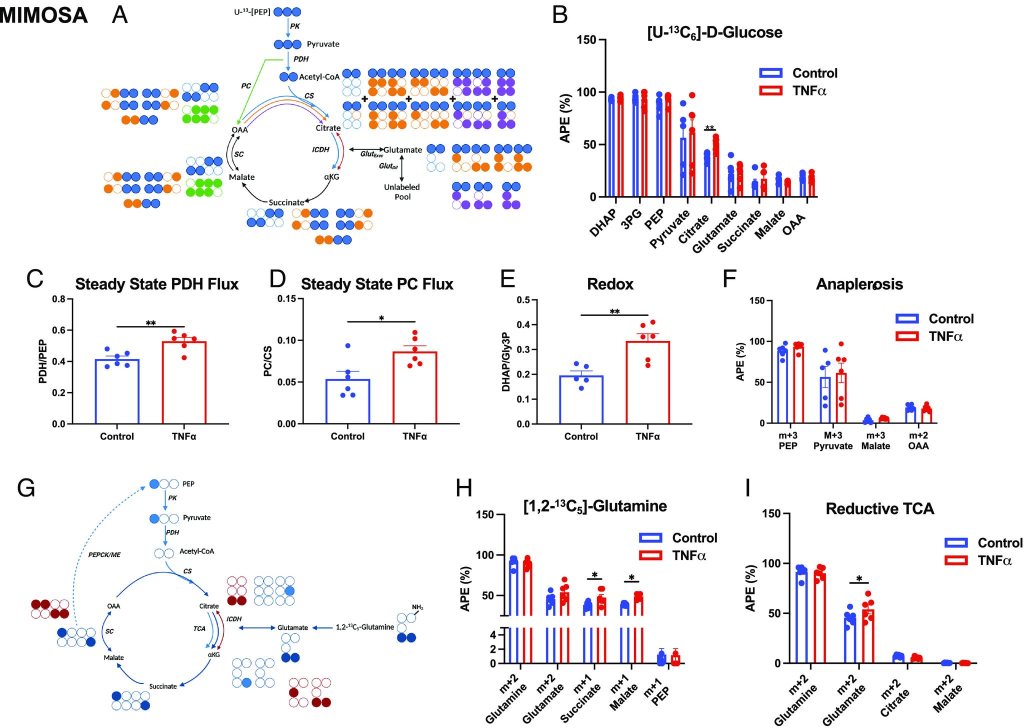 https://cdn.ncbi.nlm.nih.gov/pmc/blobs/408b/10515159/6dea4b0b9225/pnas.2218150120fig02.jpg