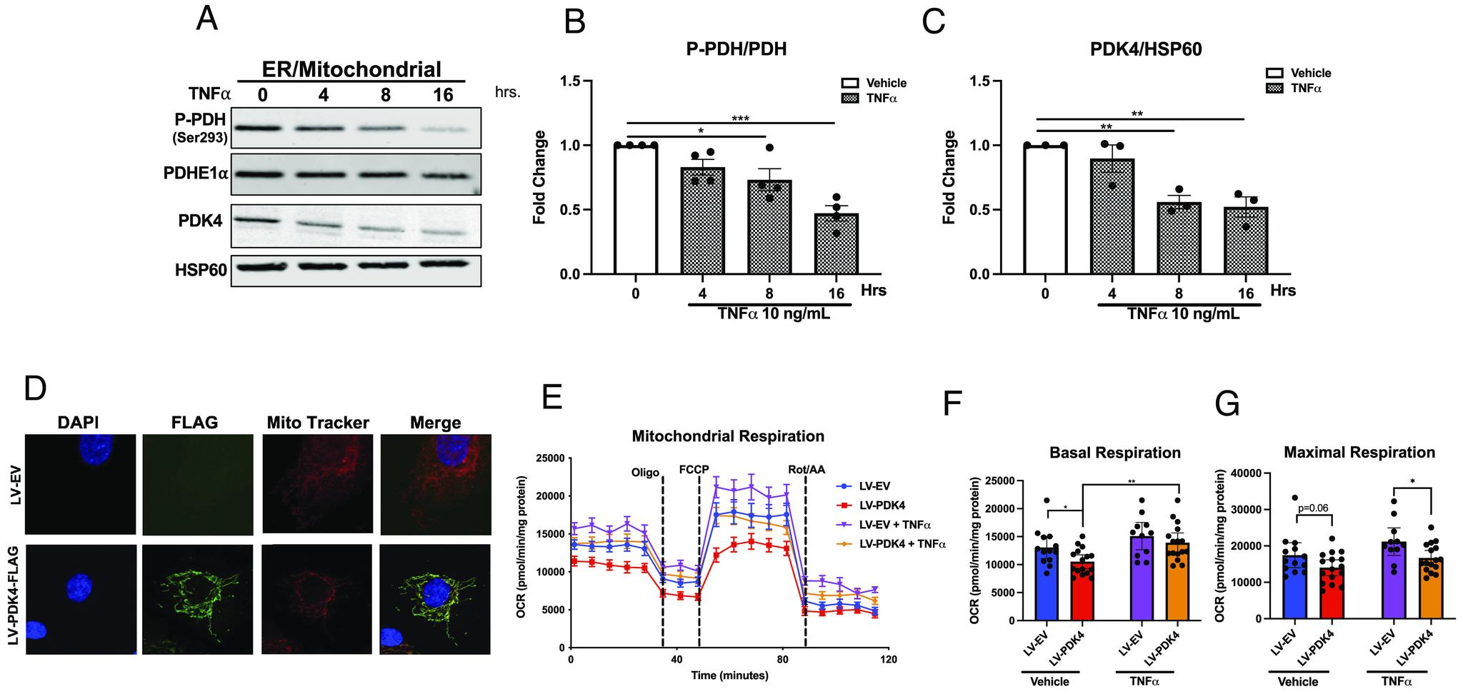 https://cdn.ncbi.nlm.nih.gov/pmc/blobs/408b/10515159/d46215755a64/pnas.2218150120fig03.jpg