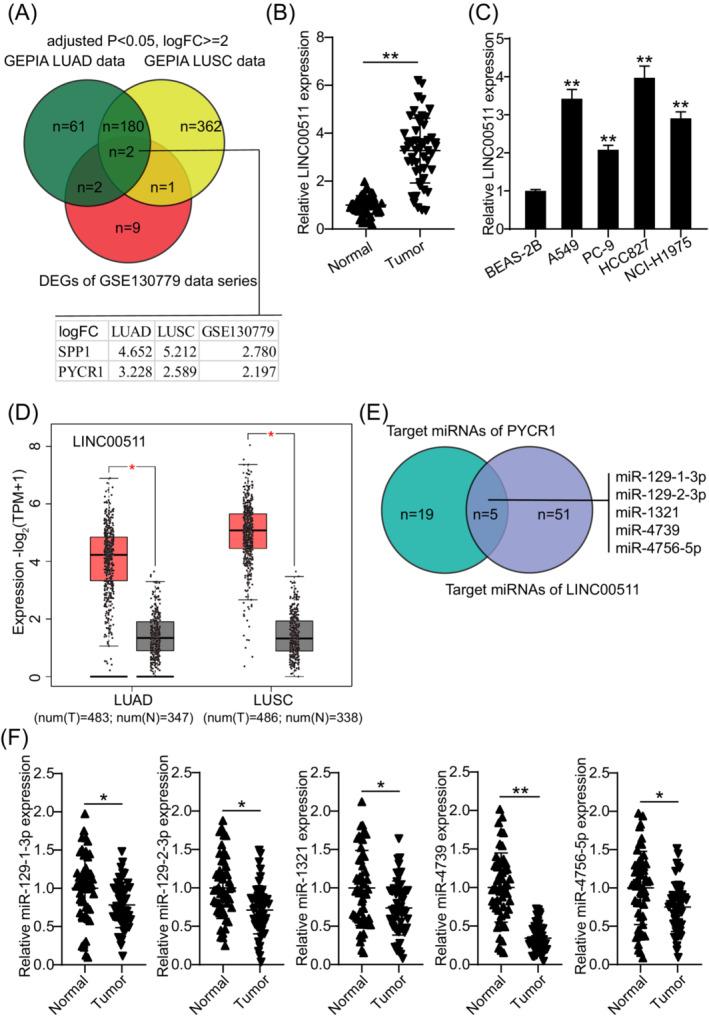 https://cdn.ncbi.nlm.nih.gov/pmc/blobs/4095/9757006/7514e332efeb/JCLA-36-e24760-g005.jpg