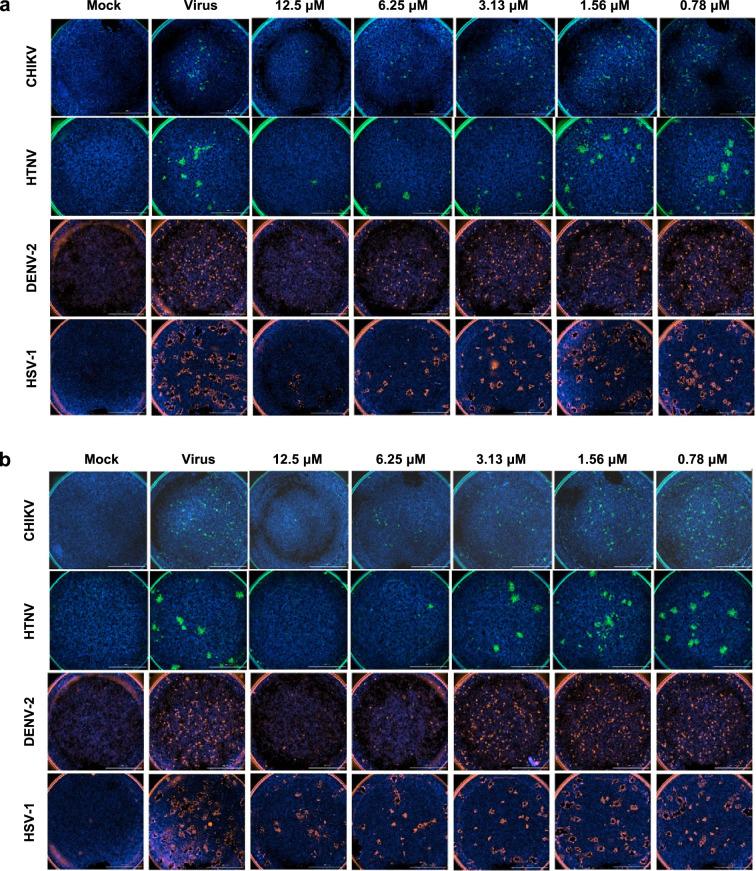 https://cdn.ncbi.nlm.nih.gov/pmc/blobs/40e0/11906162/5c1f6528eef1/elife-97330-fig4-figsupp2.jpg