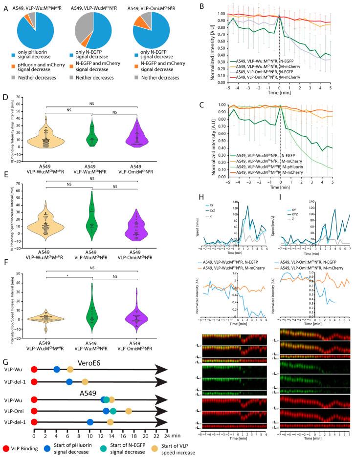 https://cdn.ncbi.nlm.nih.gov/pmc/blobs/40e4/11359012/60954720a4f1/viruses-16-01341-g005.jpg