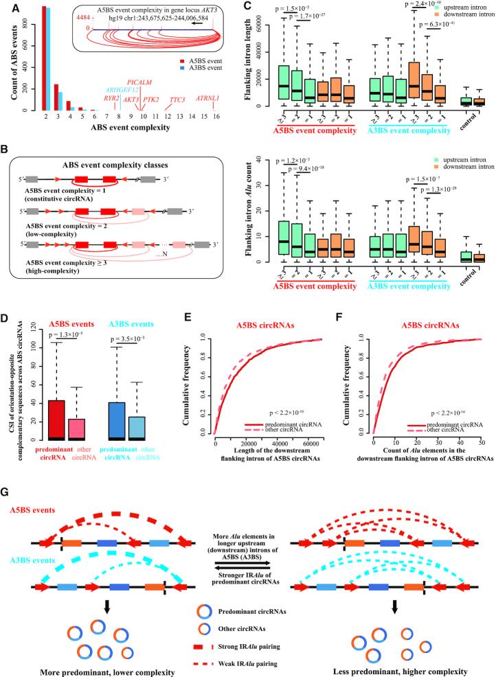 https://cdn.ncbi.nlm.nih.gov/pmc/blobs/40f1/7038940/ab792799fc25/gkaa005fig4.jpg