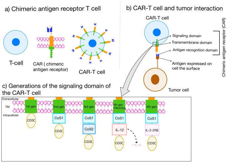 https://cdn.ncbi.nlm.nih.gov/pmc/blobs/40f4/11508774/c7355bac9b09/ijms-25-11127-g001.jpg