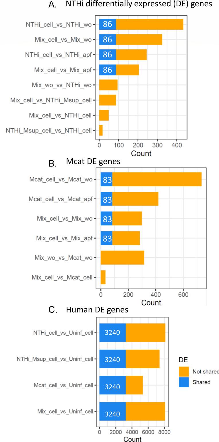 https://cdn.ncbi.nlm.nih.gov/pmc/blobs/40f8/12306180/5aeac097dc26/msphere.00242-25.f003.jpg