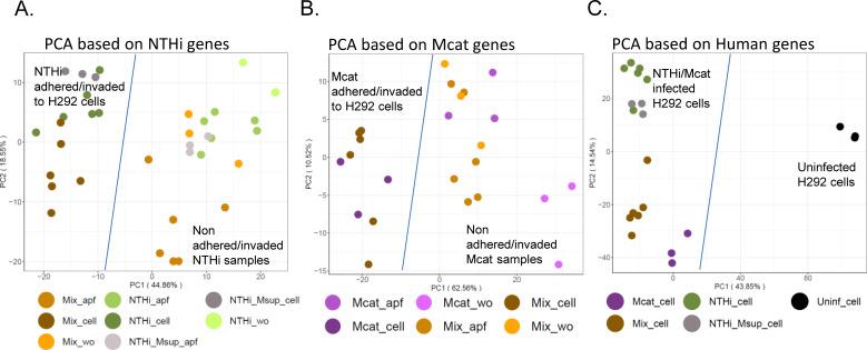 https://cdn.ncbi.nlm.nih.gov/pmc/blobs/40f8/12306180/a01b326ff180/msphere.00242-25.f002.jpg