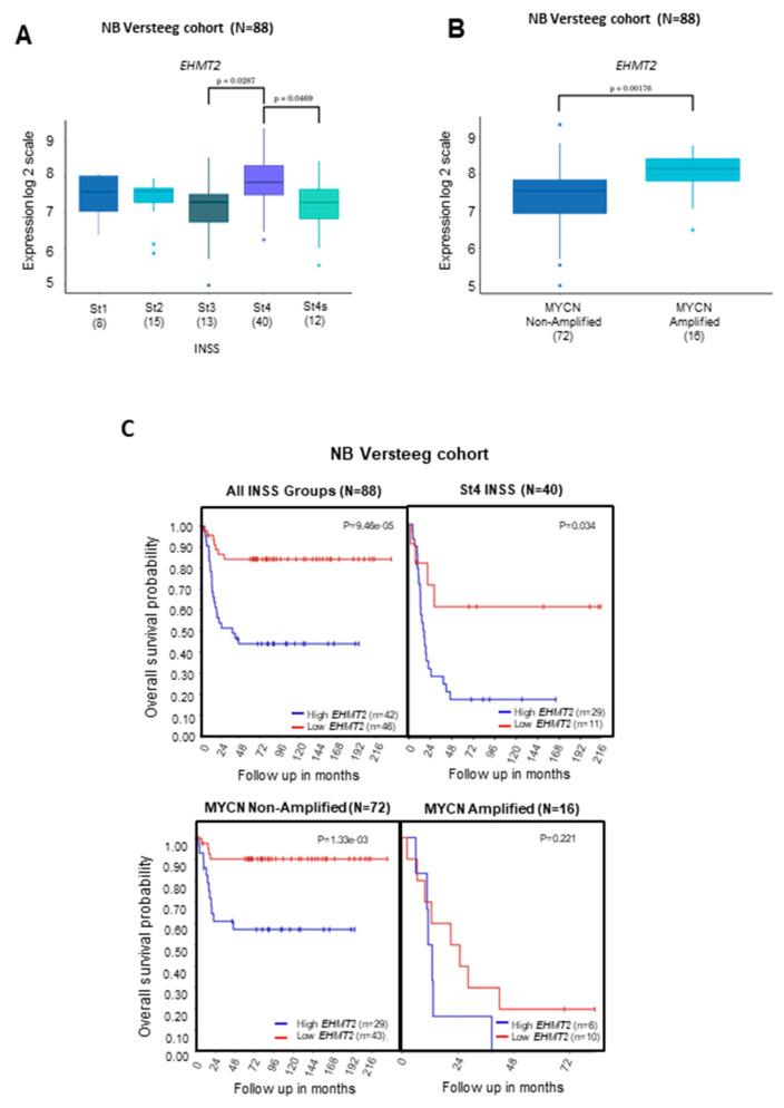 https://cdn.ncbi.nlm.nih.gov/pmc/blobs/4112/10607632/387900a3267d/ijms-24-15242-g001.jpg