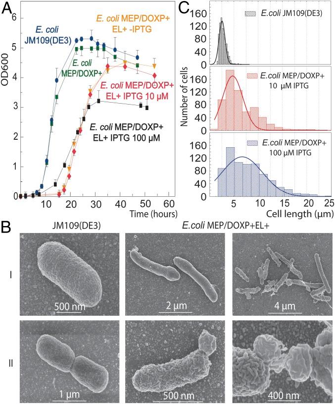 https://cdn.ncbi.nlm.nih.gov/pmc/blobs/4137/5889666/54fc0bf4c3d0/pnas.1721604115fig03.jpg