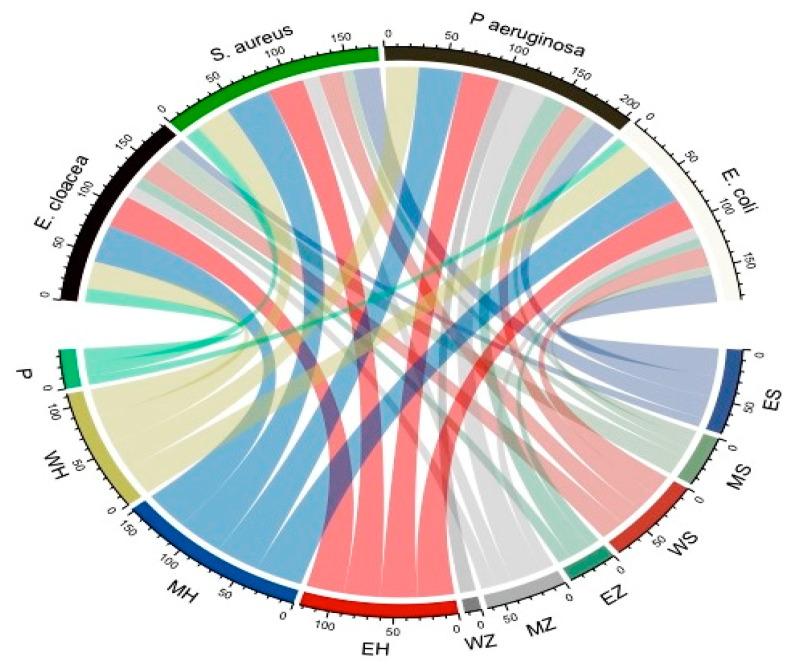https://cdn.ncbi.nlm.nih.gov/pmc/blobs/414e/10302641/806abb130a45/microorganisms-11-01601-g001.jpg