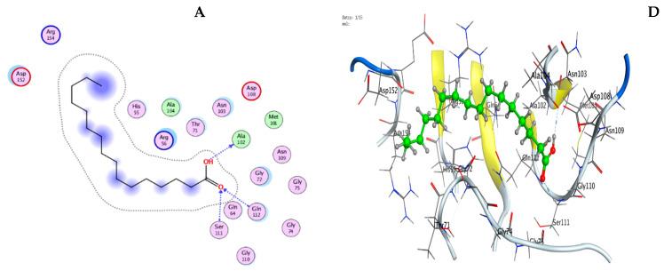 https://cdn.ncbi.nlm.nih.gov/pmc/blobs/414e/10302641/8ca1352bb94d/microorganisms-11-01601-g007a.jpg