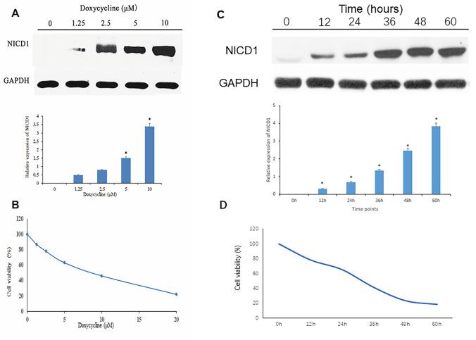 https://cdn.ncbi.nlm.nih.gov/pmc/blobs/4154/8457590/887002229af8/aging-13-203261-g001.jpg