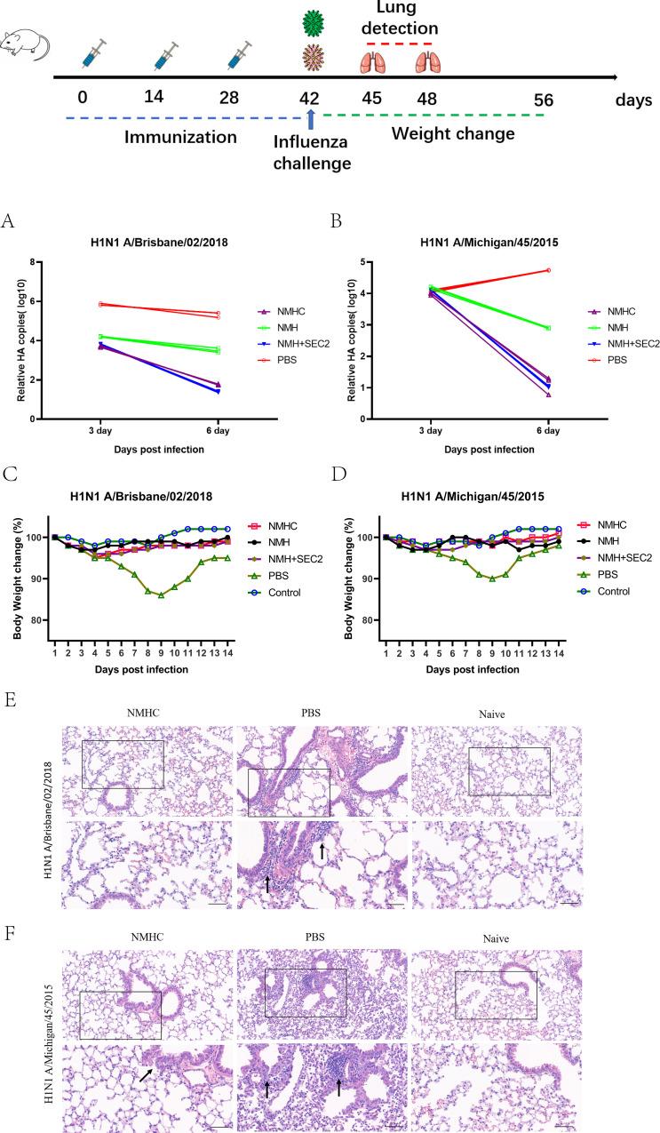 https://cdn.ncbi.nlm.nih.gov/pmc/blobs/415c/8635977/508c26dd4abc/elife-71725-fig10.jpg
