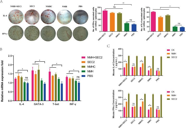 https://cdn.ncbi.nlm.nih.gov/pmc/blobs/415c/8635977/6355921e5167/elife-71725-fig8.jpg