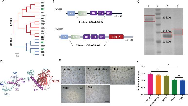 https://cdn.ncbi.nlm.nih.gov/pmc/blobs/415c/8635977/7c6858fb0631/elife-71725-fig1.jpg