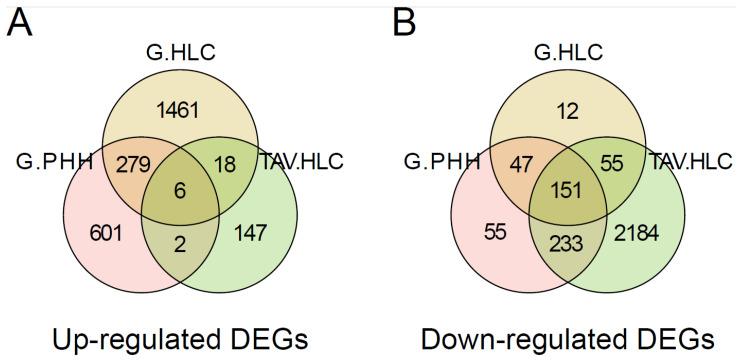 https://cdn.ncbi.nlm.nih.gov/pmc/blobs/4160/12190443/044e8552957e/cells-14-00925-g004.jpg