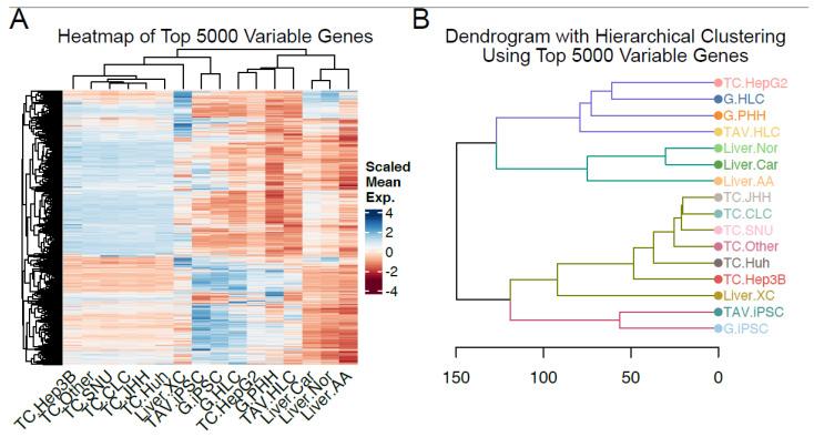 https://cdn.ncbi.nlm.nih.gov/pmc/blobs/4160/12190443/14ed478a82fd/cells-14-00925-g003.jpg