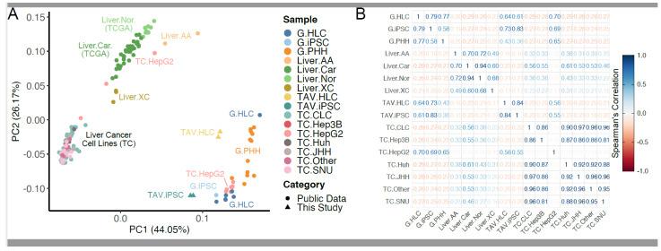 https://cdn.ncbi.nlm.nih.gov/pmc/blobs/4160/12190443/4a342df24c0a/cells-14-00925-g002.jpg