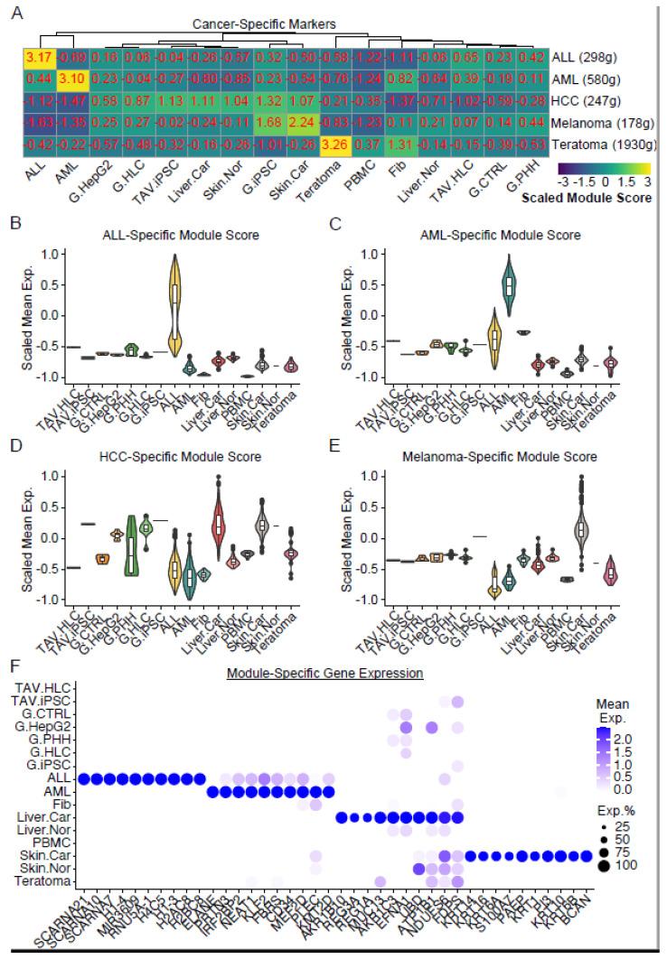 https://cdn.ncbi.nlm.nih.gov/pmc/blobs/4160/12190443/9f6587efd8a9/cells-14-00925-g011.jpg