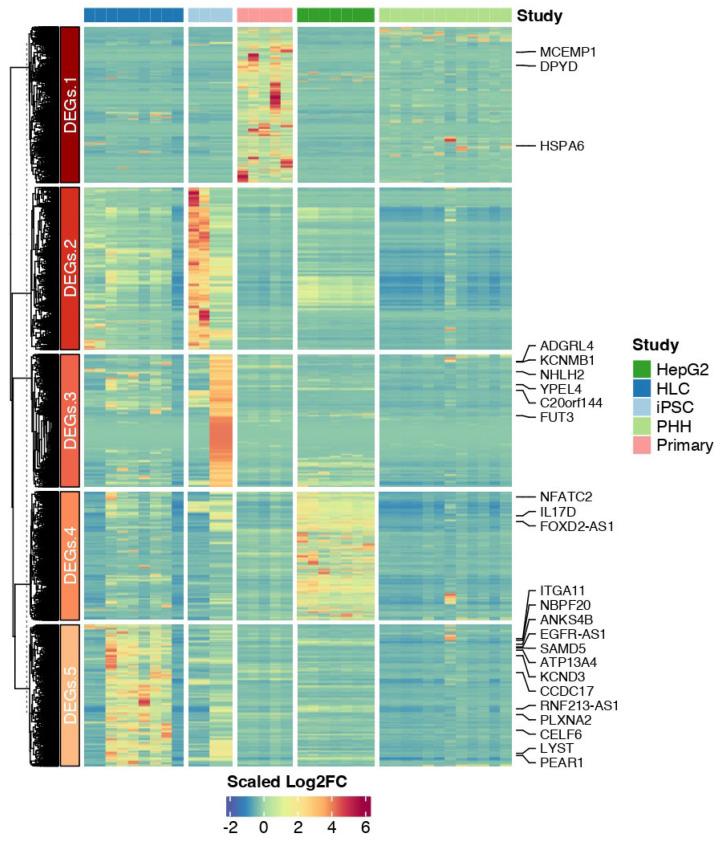 https://cdn.ncbi.nlm.nih.gov/pmc/blobs/4160/12190443/adf164782127/cells-14-00925-g005.jpg