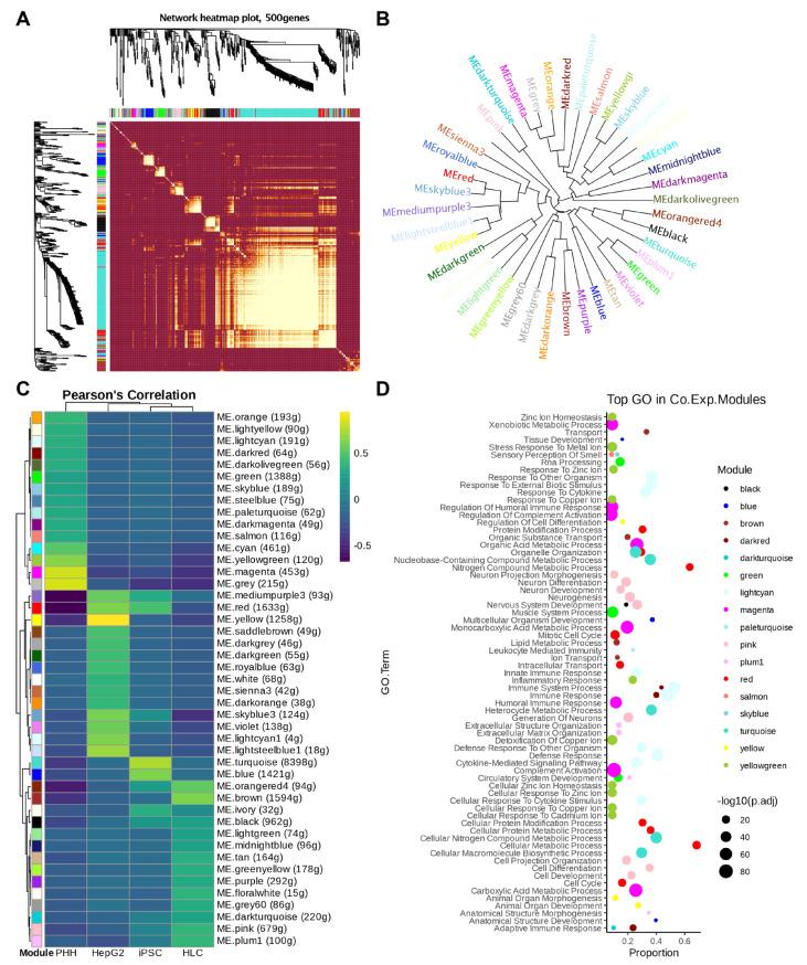 https://cdn.ncbi.nlm.nih.gov/pmc/blobs/4160/12190443/b31e0c10eaf3/cells-14-00925-g008.jpg