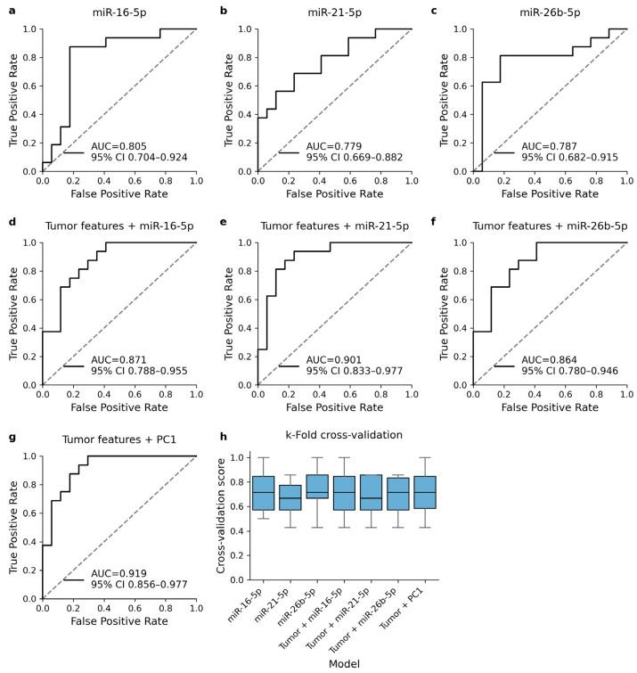 https://cdn.ncbi.nlm.nih.gov/pmc/blobs/416c/11593277/b322cea78e46/cells-13-01884-g003.jpg