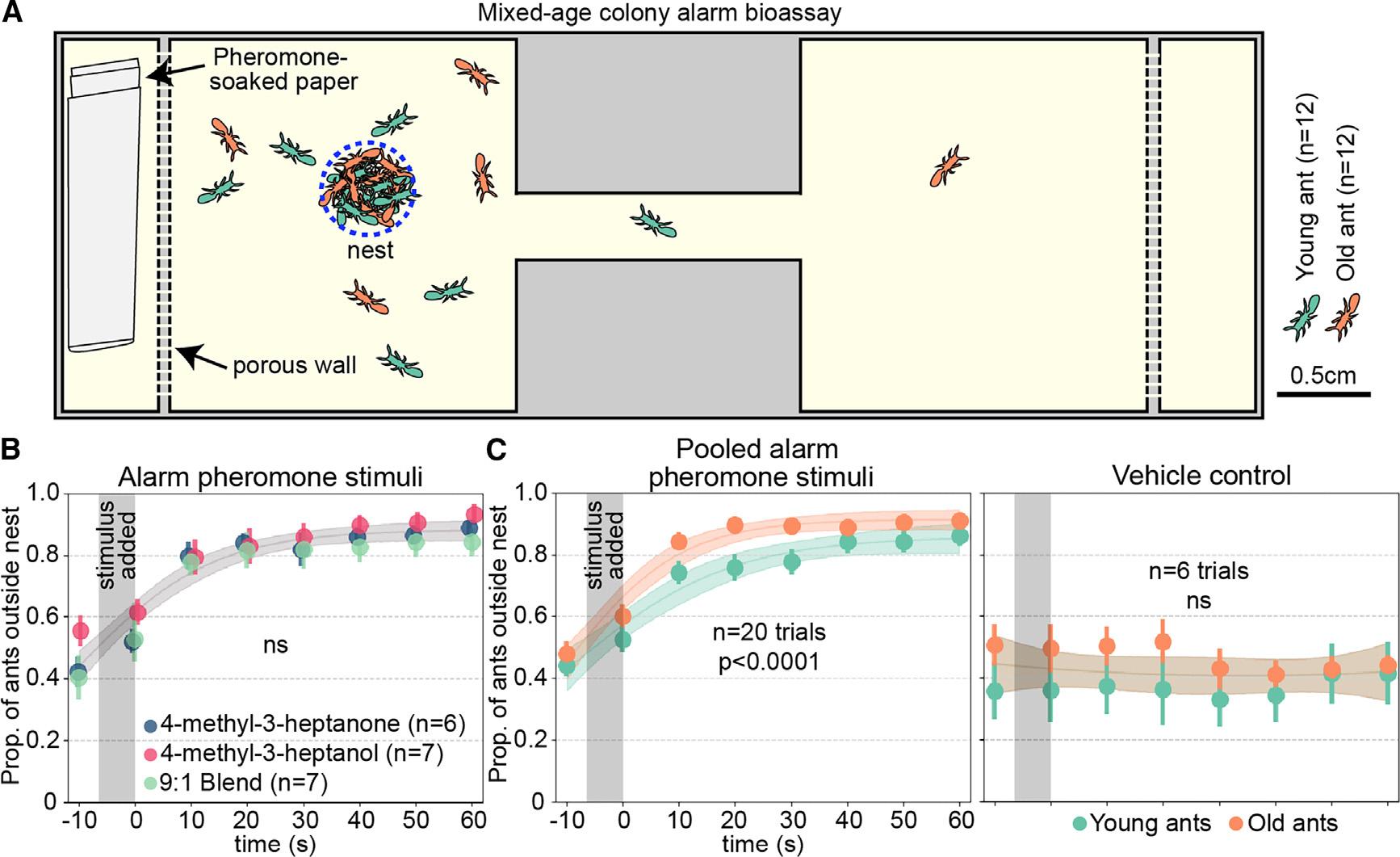 https://cdn.ncbi.nlm.nih.gov/pmc/blobs/4197/11265976/97886c9f1340/nihms-1997610-f0001.jpg