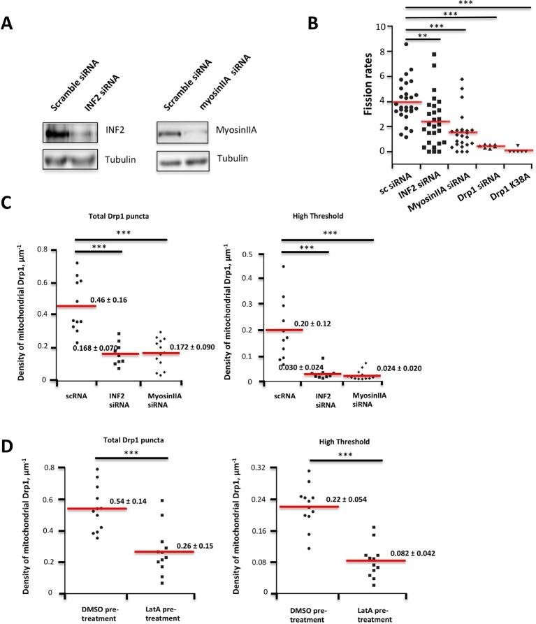 https://cdn.ncbi.nlm.nih.gov/pmc/blobs/41c1/4755738/31617e34183f/elife-11553-fig6-figsupp1.jpg