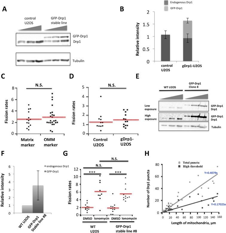 https://cdn.ncbi.nlm.nih.gov/pmc/blobs/41c1/4755738/319eba7a86f2/elife-11553-fig1-figsupp1.jpg