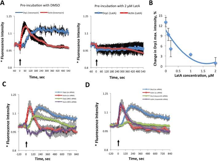 https://cdn.ncbi.nlm.nih.gov/pmc/blobs/41c1/4755738/481e478c4ae4/elife-11553-fig7.jpg
