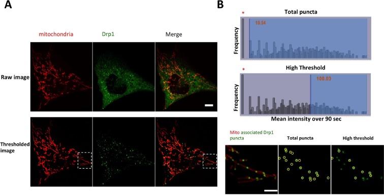 https://cdn.ncbi.nlm.nih.gov/pmc/blobs/41c1/4755738/8a764f96f9d2/elife-11553-fig1-figsupp2.jpg