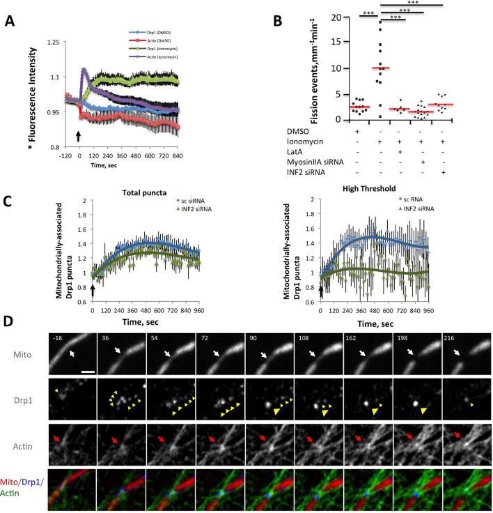 https://cdn.ncbi.nlm.nih.gov/pmc/blobs/41c1/4755738/9b414db12343/elife-11553-fig6.jpg