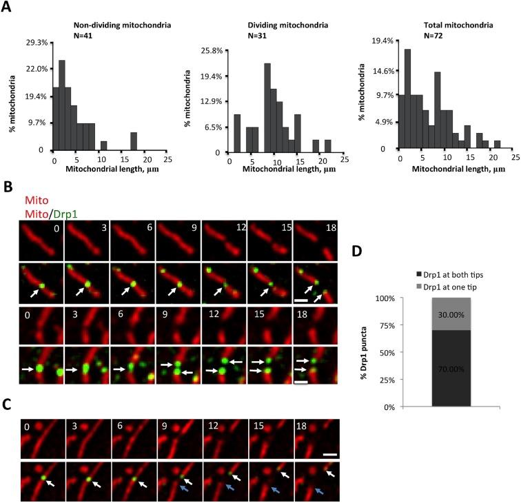 https://cdn.ncbi.nlm.nih.gov/pmc/blobs/41c1/4755738/bf16dcacab26/elife-11553-fig3-figsupp1.jpg