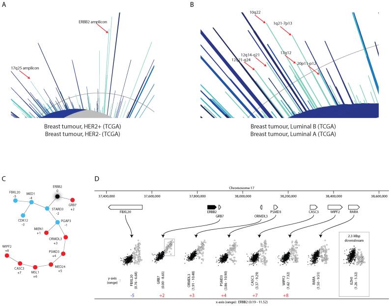 https://cdn.ncbi.nlm.nih.gov/pmc/blobs/41e4/5570030/e7d968c9e109/gkx338fig4.jpg