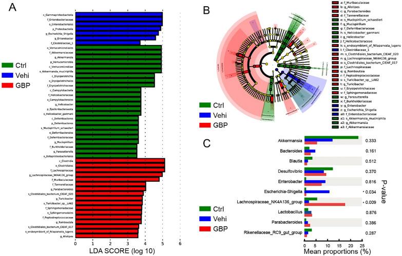 https://cdn.ncbi.nlm.nih.gov/pmc/blobs/41f3/10908100/b75b5fb898df/13020_2024_912_Fig4_HTML.jpg